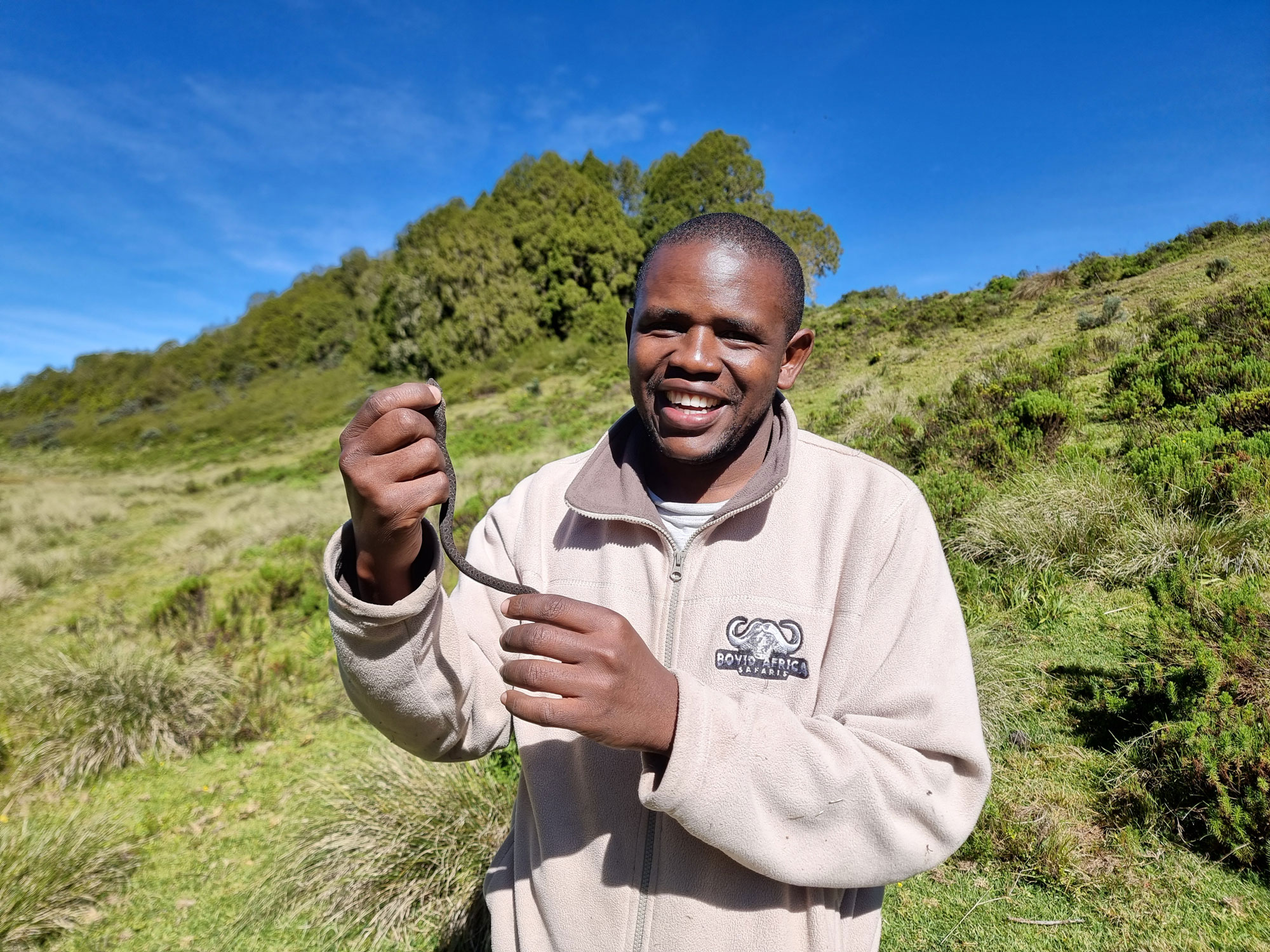 Kenya Herpetology Tours