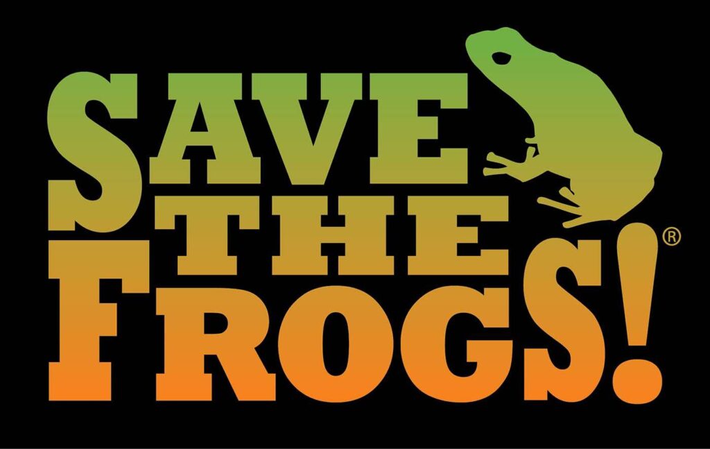 Kenya Frogging Safari Tours